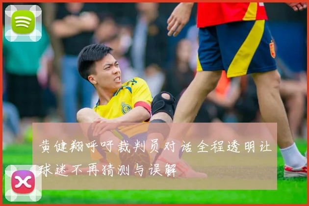 黄健翔呼吁裁判员对话全程透明让球迷不再猜测与误解