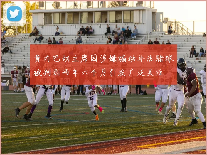 费内巴切主席因涉嫌煽动非法赌球被判刑两年六个月引发广泛关注